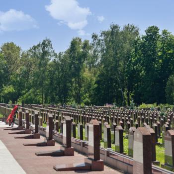 Металлические ограды - Ритуальные услуги