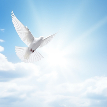 Добро пожаловать на наш сайт - Ритуальные услуги